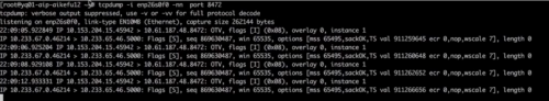 Kubernetes網(wǎng)絡排錯骨灰級中文指南17
