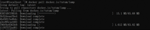 楊0627-Docker應用環(huán)境CentOS7+Docker+Jenkins (1)495