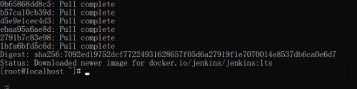 楊0627-Docker應用環(huán)境CentOS7+Docker+Jenkins (1)566