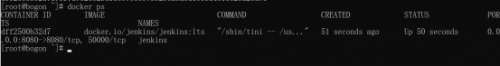 楊0627-Docker應用環(huán)境CentOS7+Docker+Jenkins (1)981