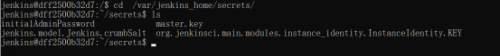 楊0627-Docker應用環(huán)境CentOS7+Docker+Jenkins (1)1354