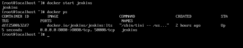 楊0627-Docker應用環(huán)境CentOS7+Docker+Jenkins (1)2185