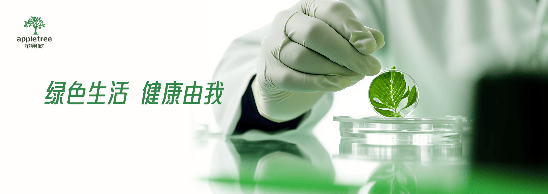 人工智能培訓(xùn)班
